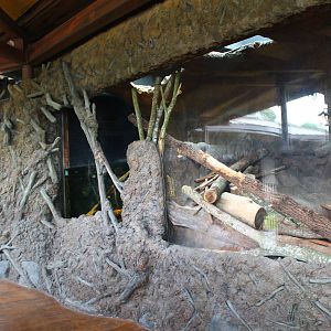 Rivers of the World - Mississippi River