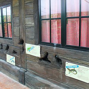 Rivers of the World - Mississippi River