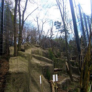 Apr. 2013 - Eagle Eyrie - Stellers Sea Eagle Exhibit