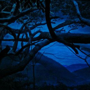 Apr. 2013 - Jungle Trails - Aye-Aye Exhibit Canopy