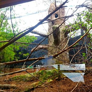 Apr. 2013 - Wolf Woods - Barred Owl Exhibit