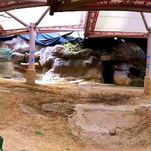 Apr. 2013 - Wildlife Canyon - Sumatran Rhinoceros Exhibit Panorama