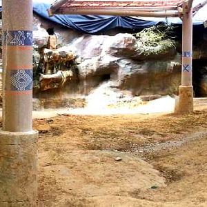 Apr. 2013 - Wildlife Canyon - Sumatran Rhinoceros Exhibit