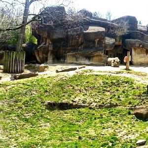 Apr. 2013 - Rhino Reserve - Eastern Black Rhinoceros Exhibit Panorama