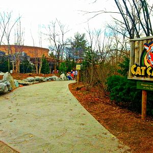 Apr. 2013 - Night Hunters + Cat Canyon Entrance Path