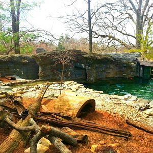 Apr. 2013 - Wolf Woods - North American River Otter Exhibit