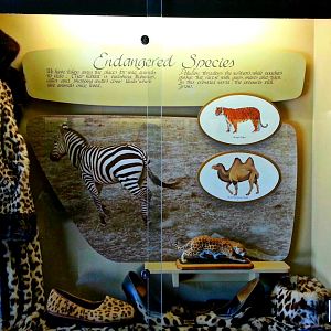 Apr. 2013 - Passenger Pigeon Memorial - Endangered Species