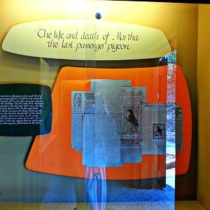 Apr. 2013 - Passenger Pigeon Memorial - The Life and Death of Martha the La