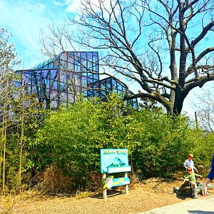 Apr. 2013 - Manatee Springs