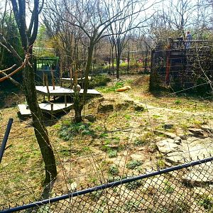 Apr. 2013 - White Lions of Timbavati