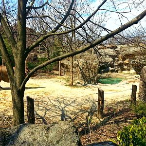 Apr. 2013 - Rhino Reserve - Indian Rhinoceros Exhibit