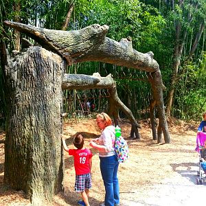 Apr. 2013 - Jungle Trails - New Monkey Swings