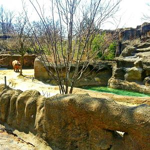 Apr. 2013 - Rhino Reserve - Indian Rhinoceros Exhibit