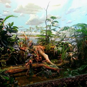 Apr. 2013 - Wings of the World - Wetlands