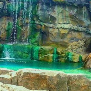 Apr. 2013 - Lords of the Arctic - First Polar Bear Exhibit Panorama