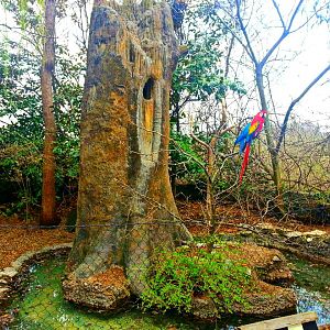 Apr. 2013 - Wings of the World - Scarlet + Blue-and-gold Macaw Exhibit