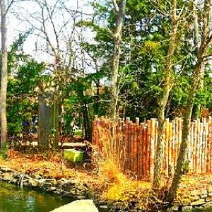 Apr. 2013 - Gibbon Islands Panorama