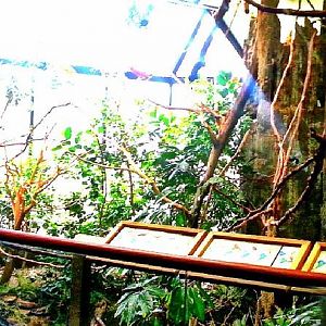 Apr. 2013 - Wings of the World - South America