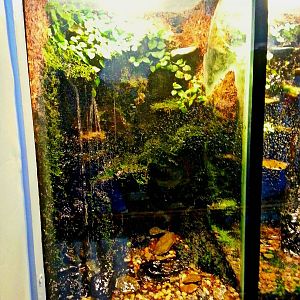 Apr. 2013 - Reptile House - Spotted Salamander Exhibit