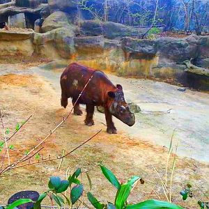 Apr. 2013 - Wildlife Canyon - Suci