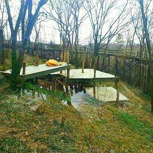 Apr. 2013 - White Lions of Timbavati