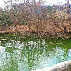 Apr. 2013 - Swan Lake - Wetland Trail