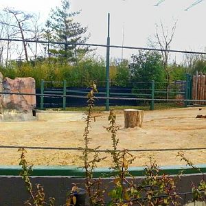 Apr. 2013 - Elephant Reserve - Sabu's Exhibit