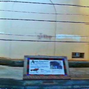 Apr. 2013 - Elephant Reserve - Elephant House