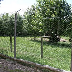 Givskud Zoo - Lion exhibit
