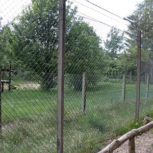 Givskud Zoo - Lion exhibit