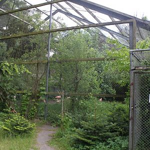 Givskud Zoo - Wetlands Aviary