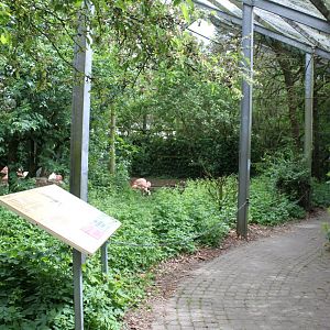 Givskud Zoo - Wetlands Aviary