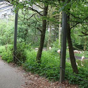 Givskud Zoo - Wetlands Aviary