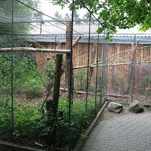 Givskud Zoo - Grey parrot aviary