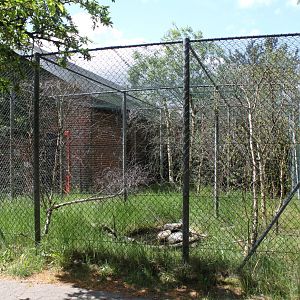 Givskud Zoo - Chimpanzee House (Lemur exhibit)