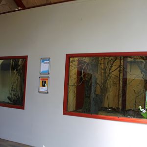 Givskud Zoo - Chimpanzee House (Primate exhibits)