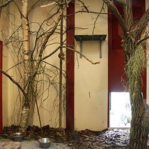 Givskud Zoo - Chimpanzee House (Lemur exhibit)