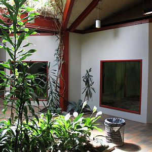 Givskud Zoo - Chimpanzee House