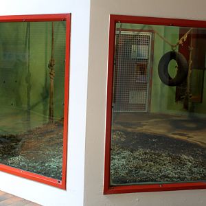 Givskud Zoo - Chimpanzee House