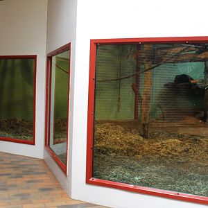 Givskud Zoo - Chimpanzee House