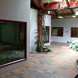 Givskud Zoo - Chimpanzee House