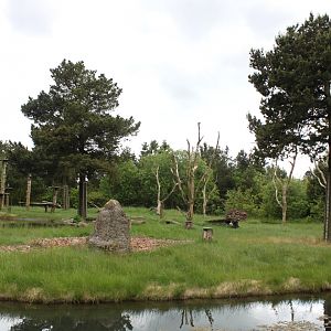 Givskud Zoo - Chimpanzee Island