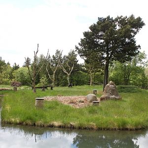 Givskud Zoo - Chimpanzee Island