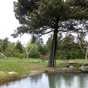 Givskud Zoo - Chimpanzee Island
