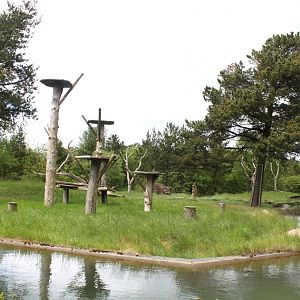 Givskud Zoo - Chimpanzee Island