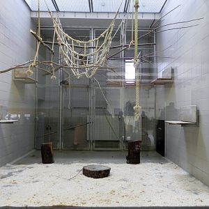 Tierpark 2013: No Comment