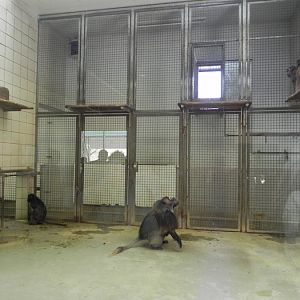 Tierpark 2013: No Comment