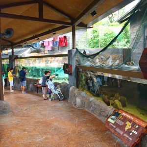 Rivers of the World - Mississippi River