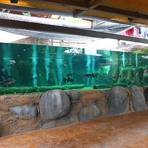 Rivers of the World - Mississippi River