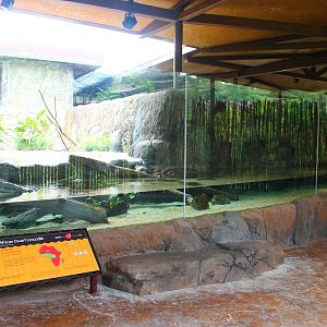 Rivers of the World - Congo River